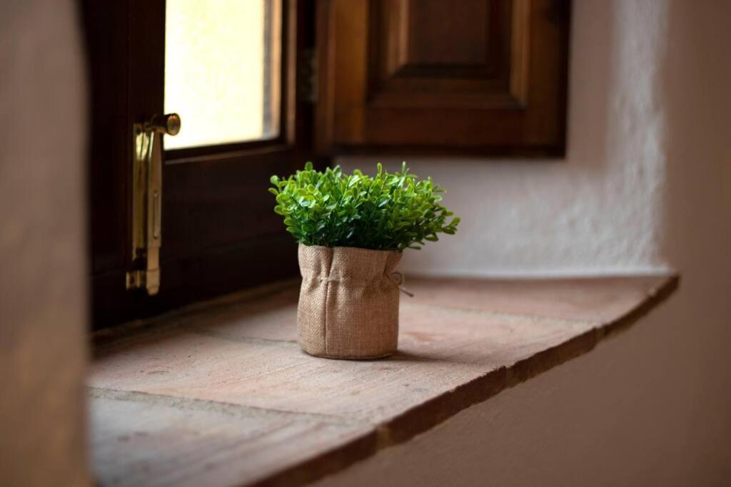 Casabenadalid. Casa Rural Con Piscina. Dış mekan fotoğraf